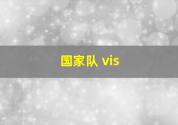 国家队 vis